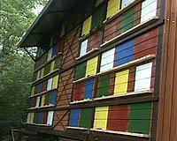 radovljica_cebele3.jpg radovljica_cebele3.jpg