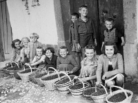 kranj_muzej_borovnice_2.jpg kranj_muzej_borovnice_2.jpg